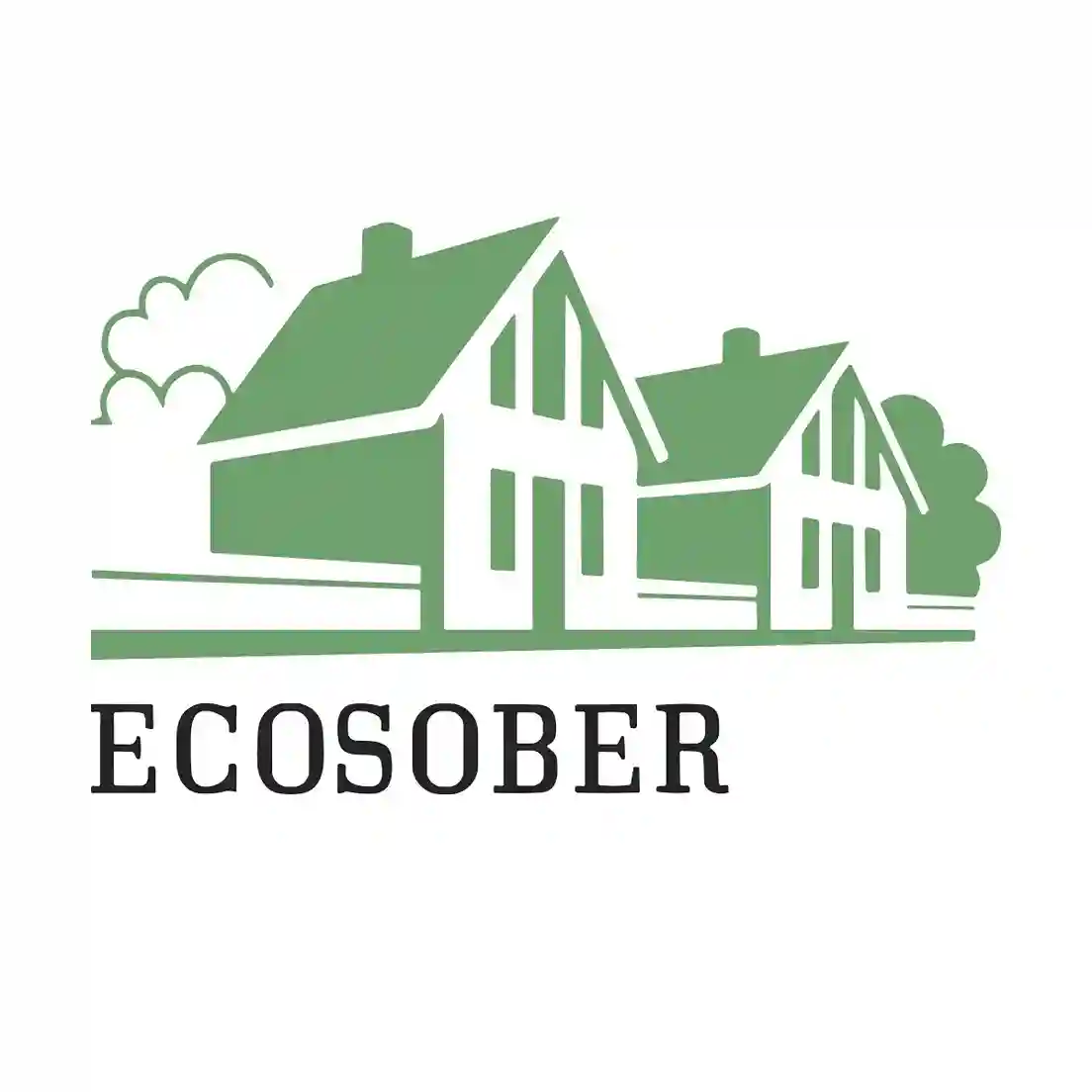 Eco Sober Team