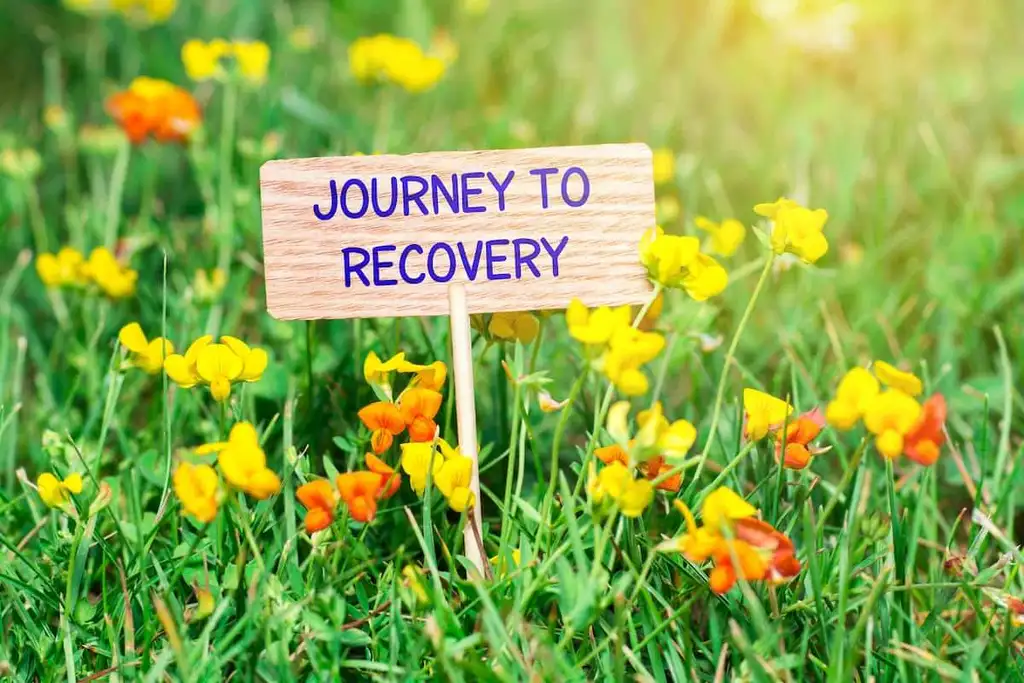 Addiction Aftercare: Programs and Recovery Support | Eco Sober